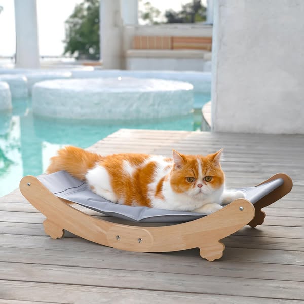 Best deals for everyday items at special prices daily
